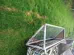 Hang ruif, Dieren en Toebehoren, Schapen, Geiten en Varkens, Schaap