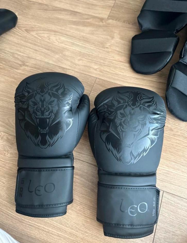 LEO Vechtsport Bescherming Set - Nieuwstaat!, Sport en Fitness, Vechtsporten en Zelfverdediging, Zo goed als nieuw, Overige, Vechtsportbescherming