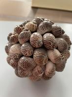 Ronde bol met schelpen, Ophalen of Verzenden