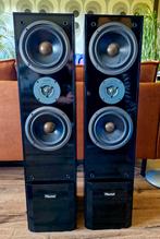 Magnat Concept Reference luidsprekers, Audio, Tv en Foto, Ophalen, Gebruikt, Magnat, 120 watt of meer