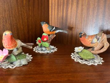Set van 12 Porseleinen vogeltjes - jaren 80 - Vintage collec beschikbaar voor biedingen