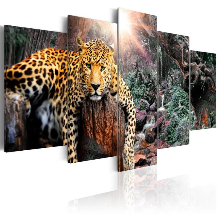279 Natuur Luipaard 5 Luik Canvas Schilderij 200x100cm Nieuw, Antiek en Kunst, Kunst | Schilderijen | Klassiek, Ophalen of Verzenden