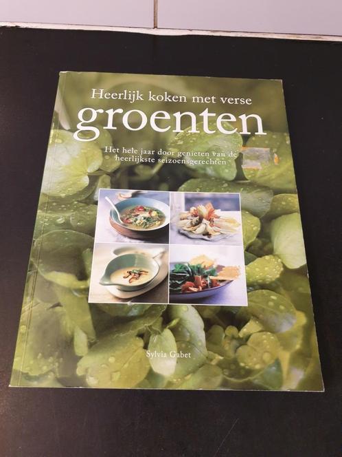 Koken met groente in het seizoen 150 blzd, Boeken, Kookboeken, Zo goed als nieuw, Voorgerechten en Soepen, Hoofdgerechten, Tapas, Hapjes en Dim Sum