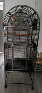 Grote papegaaien/vogel kooi, Ophalen, Gebruikt, Metaal, Vogelkooi