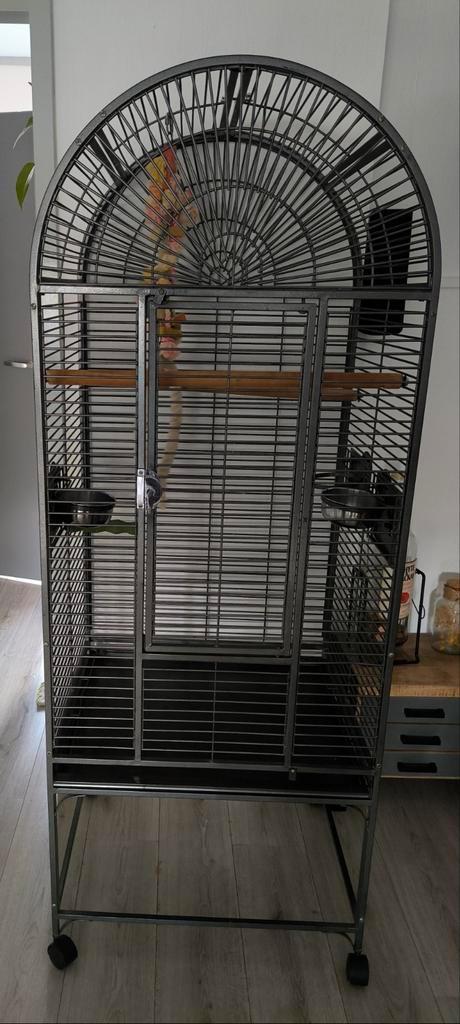 Grote papegaaien/vogel kooi, Dieren en Toebehoren, Vogels | Hokken en Kooien, Gebruikt, Vogelkooi, Metaal, Ophalen