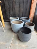Set van 5 bloempotten, Gebruikt, Rond, Tuin, Minder dan 40 cm