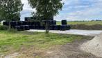 Pakken/balen beheersgras biologisch ruwvoer, Dieren en Toebehoren, Ophalen of Verzenden, Vee