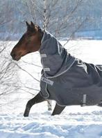 Bucas Smartex Turnout *Hals / Combi Neck , Extra / 300gr - M, Ophalen of Verzenden, Nieuw, Deken