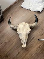 Dierenkop, Ophalen, Zo goed als nieuw, Wild dier, Beeldje of Figuurtje