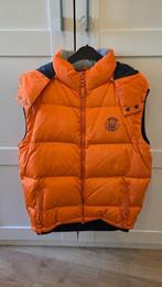 MCGREGOR BODYWARMER MAAT L, Maat 52/54 (L), McGregor, Oranje, Ophalen of Verzenden