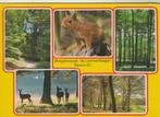 P193 ansichtkaart lommerbergen reuver 1989, Verzamelen, Ansichtkaarten | Nederland, Verzenden, 1980 tot heden, Gelopen, Limburg