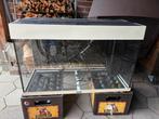 Juwel aquarium 80 cm, Dieren en Toebehoren, Ophalen, Gebruikt, Leeg aquarium