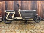 STOER BIKES Cargo X Desert Sand 0km bakfiets, Ophalen of Verzenden, Nieuw, Elektrisch