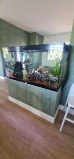 Compleet aquarium 120x65x50, Dieren en Toebehoren, Ophalen, Gevuld zoetwateraquarium