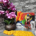 Ghost in the Shell Motoko Kusanagi Figuur MIB, Ophalen of Verzenden, Nieuw