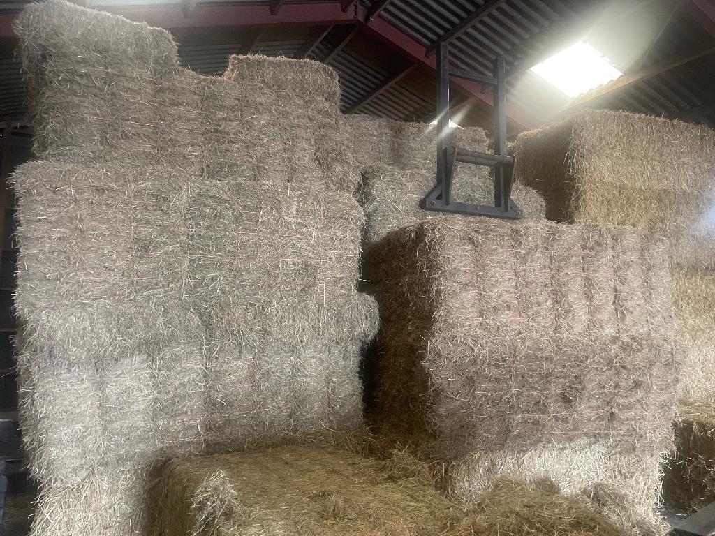 Hooi pakjes, Dieren en Toebehoren, Ophalen, Vee