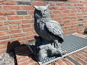 Uil beschikbaar voor biedingen