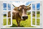 Diamond Painting Koe kijkt door het Raam 50x70cm, Ophalen of Verzenden, Nieuw