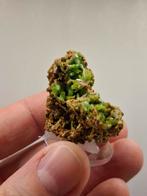 Pyromorfiet uit China, Verzamelen, Mineralen en Fossielen, Ophalen of Verzenden, Mineraal