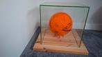 Voetbal met handtekeningen nederlands elftal 2014., Ophalen, Zo goed als nieuw, Overige binnenlandse clubs, Shirt