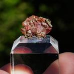 Rhodochrosiet uit Mexico #21, Verzamelen, Mineralen en Fossielen, Ophalen of Verzenden, Mineraal
