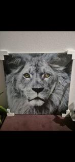 Glazen Schilderij Leeuw, Huis en Inrichting, Woonaccessoires | Schilderijen, Tekeningen en Foto's, Ophalen, Nieuw, Schilderij