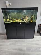 Aquarium inclusief pomp, Dieren en Toebehoren, Vissen | Aquaria en Toebehoren, Ophalen, Gebruikt, Gevuld zoetwateraquarium