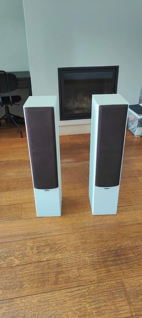 Tannoy MX3 speakers – wit geverfd, werken uitstekend, Audio, Tv en Foto, Luidsprekers, Zo goed als nieuw, Front, Rear of Stereo speakers