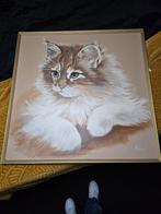 Schilderij Poes XL - 90x90 cm Collins schilder, Antiek en Kunst, Kunst | Schilderijen | Klassiek, Ophalen