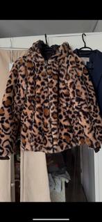 Dubbelzijdig panterprint zwart teddyjas teddy bont jas S, Kleding | Dames, Jassen | Winter, Ophalen of Verzenden, Nieuw, Maat 36 (S)