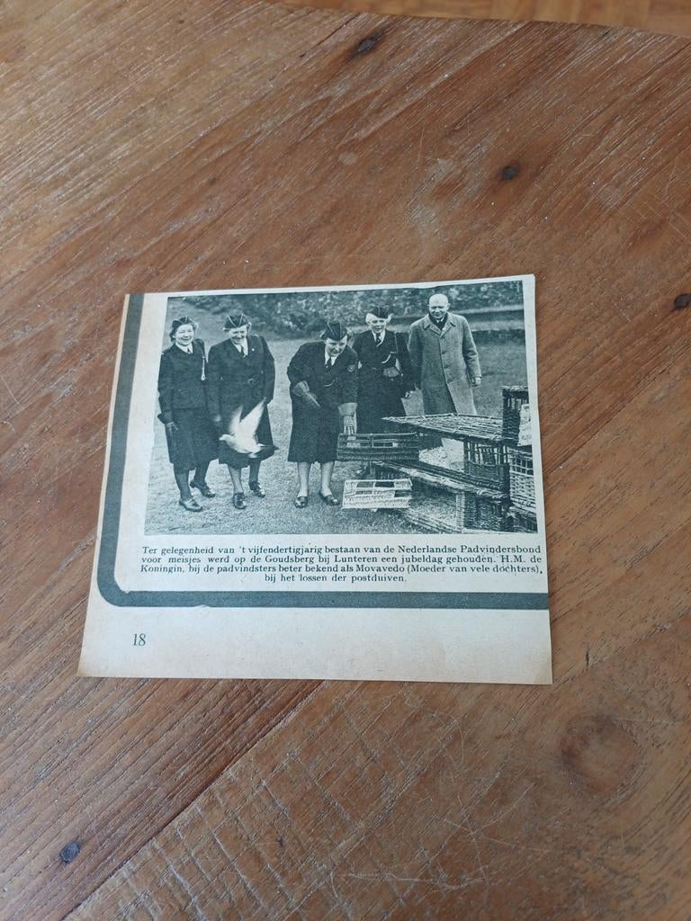 Knipsel jubeljaar padvinders Lunteren 1951, Verzamelen, Scouting, Ophalen of Verzenden, Gebruikt, Embleem, Speld of Insigne