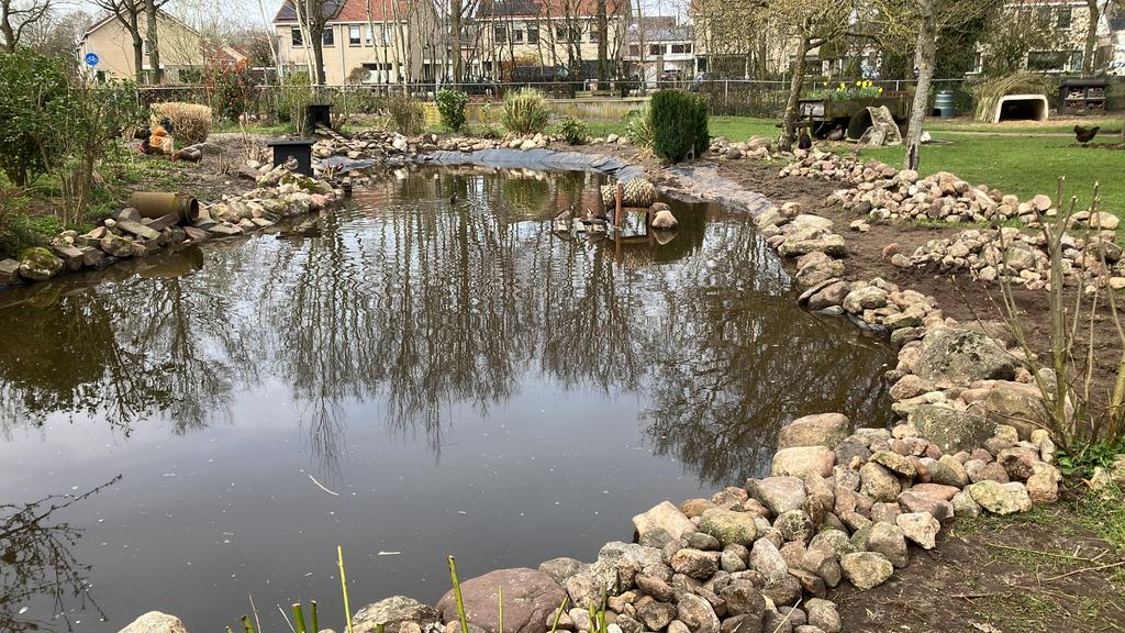 Gezocht: rotsplanten, Ophalen, Overige soorten, Volle zon