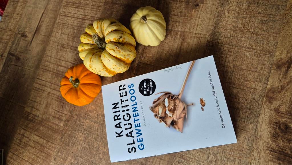 Karin Slaughter - Gewetenloos (Literaire Thriller), Ophalen of Verzenden, Zo goed als nieuw, Karin Slaughter, Nederland