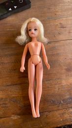 Sindy pop, Ophalen of Verzenden, Gebruikt, Pop