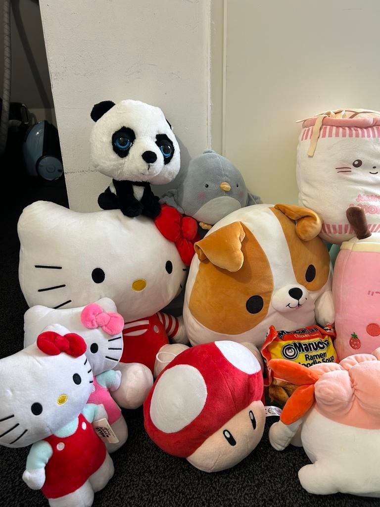 Knuffels, Ophalen of Verzenden, Zo goed als nieuw, Overige typen