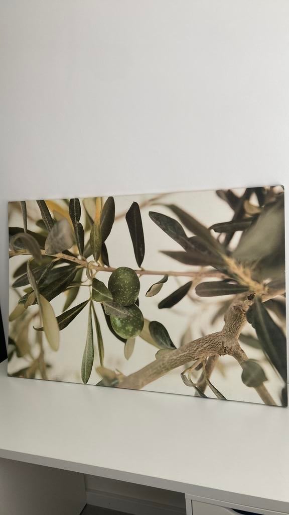 Schilderij olijftak, Ophalen