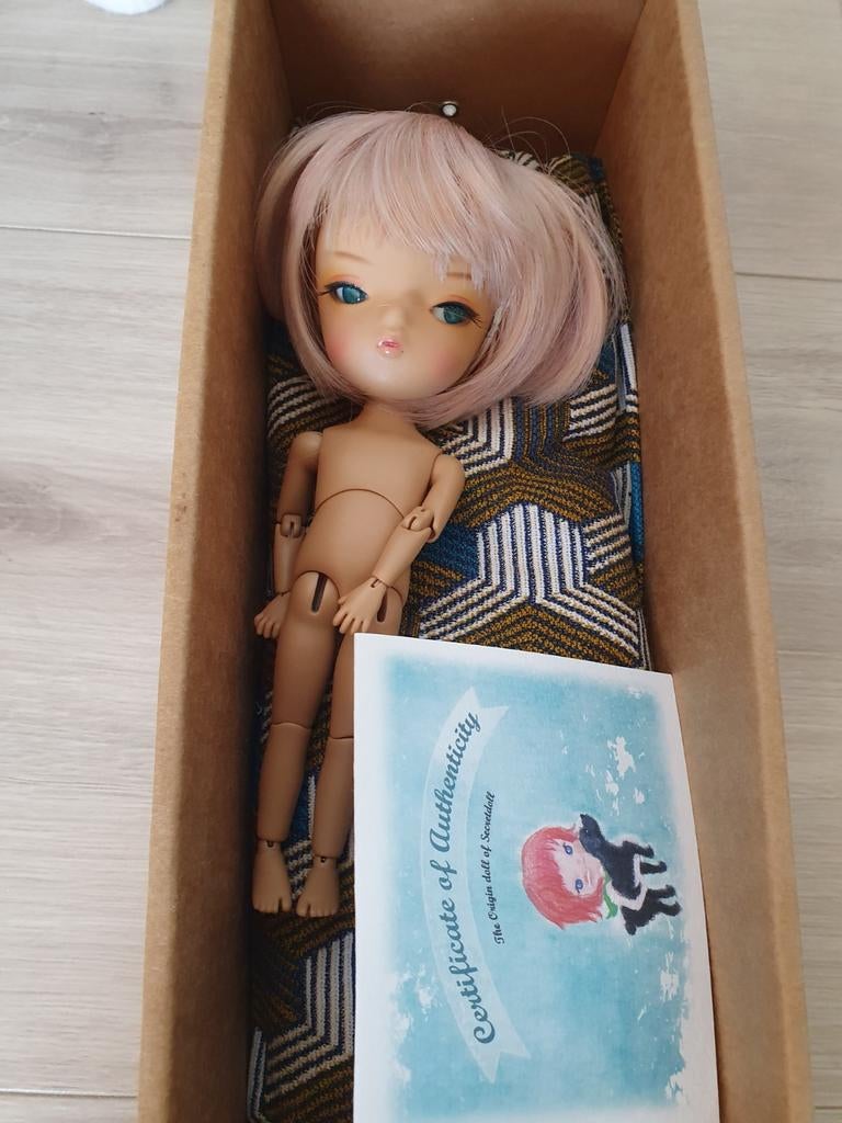 Bjd pop secretdoll person 21., Ophalen of Verzenden, Zo goed als nieuw, Pop