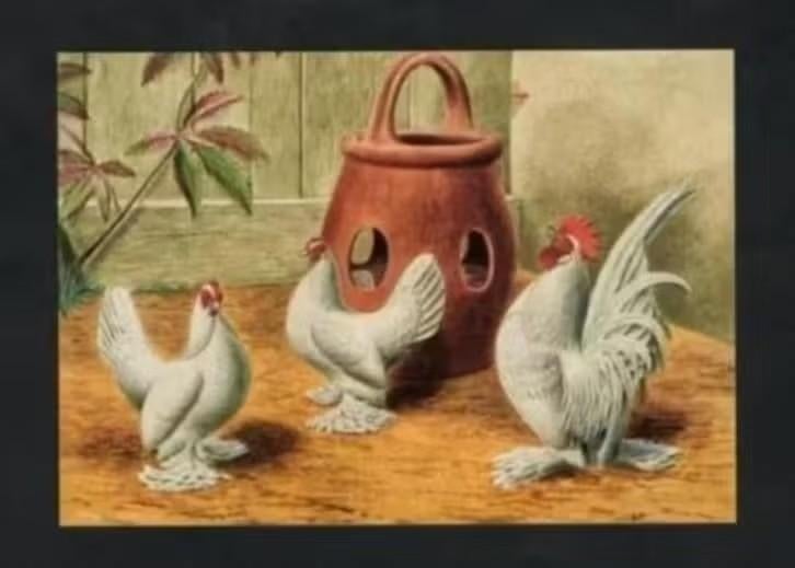 Pluimvee Kippen Sabelpoot Parelblauw Boerderij, Van Gink, Ophalen of Verzenden, 1980 tot heden, Ongelopen, Vogel