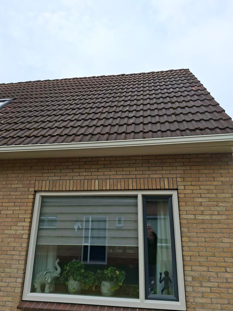 Dakpannen Sneldekkers Heide Kleur, Ophalen