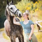 paard te koop, Merrie, Springpaard, Met stamboom, Zadelmak