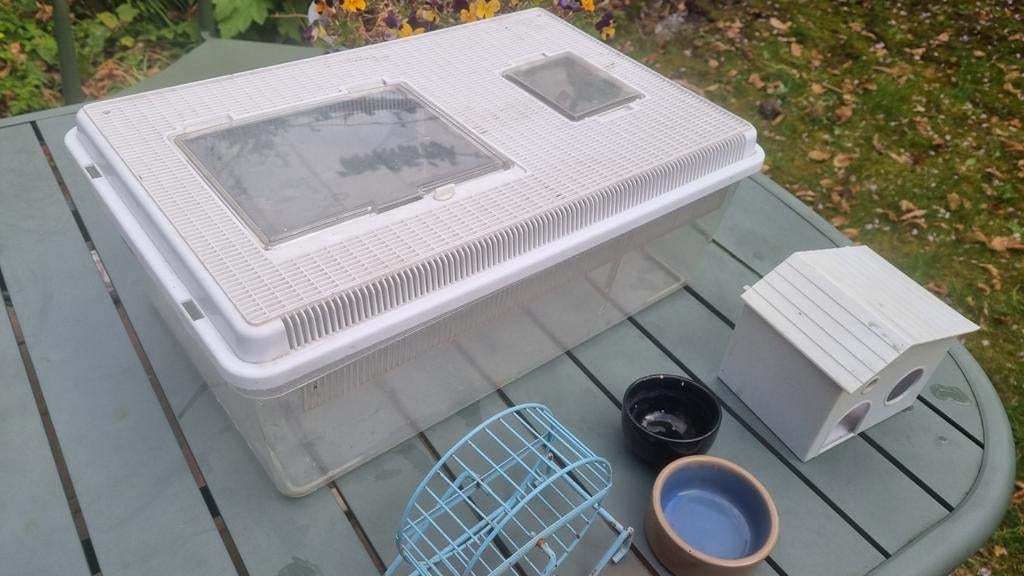 Hamster/ muizen kooi 42cm x 26cm hoogte 18cm, Kooi, Minder dan 75 cm, Hamster, Ophalen