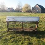 Hooiruif voor schapen of geiten, Meerdere dieren, Schaap