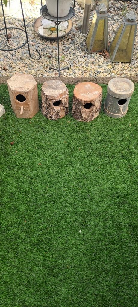 Broedblokken parkieten, Meerdere dieren, Parkiet