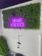 Kunsthaag Wand 2x2 Meter + Losse Plaat, Ophalen of Verzenden, Gebruikt, Kunststof, Tuinhek