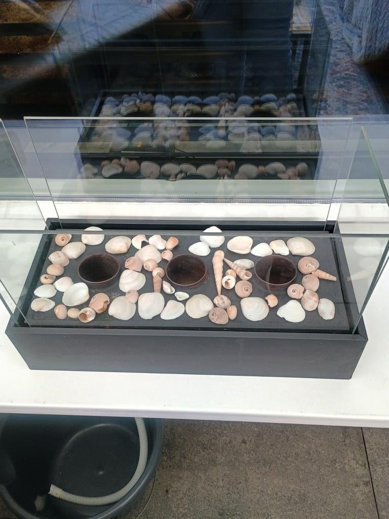 Bio ethanol brander, Ophalen