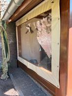 Tentzeil met raam voor tuinhuis of tent, Caravans en Kamperen, Ophalen, Gebruikt