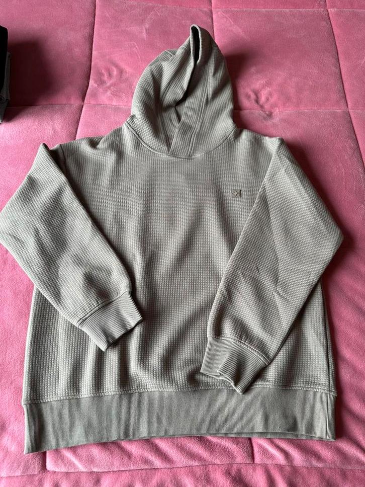 Shoeby Jacquard Hoodie Light green Size M – New with Tags, Kleding | Heren, Truien en Vesten, Nieuw, Maat 48/50 (M), Beige, Ophalen of Verzenden