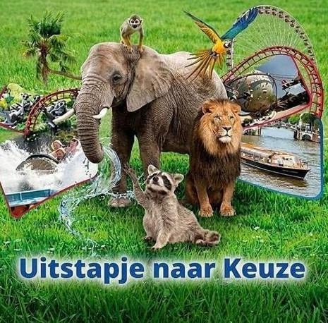 Uitstapje naar keuze 4 personen, Tickets en Kaartjes, Drie personen of meer, Ticket of Toegangskaart