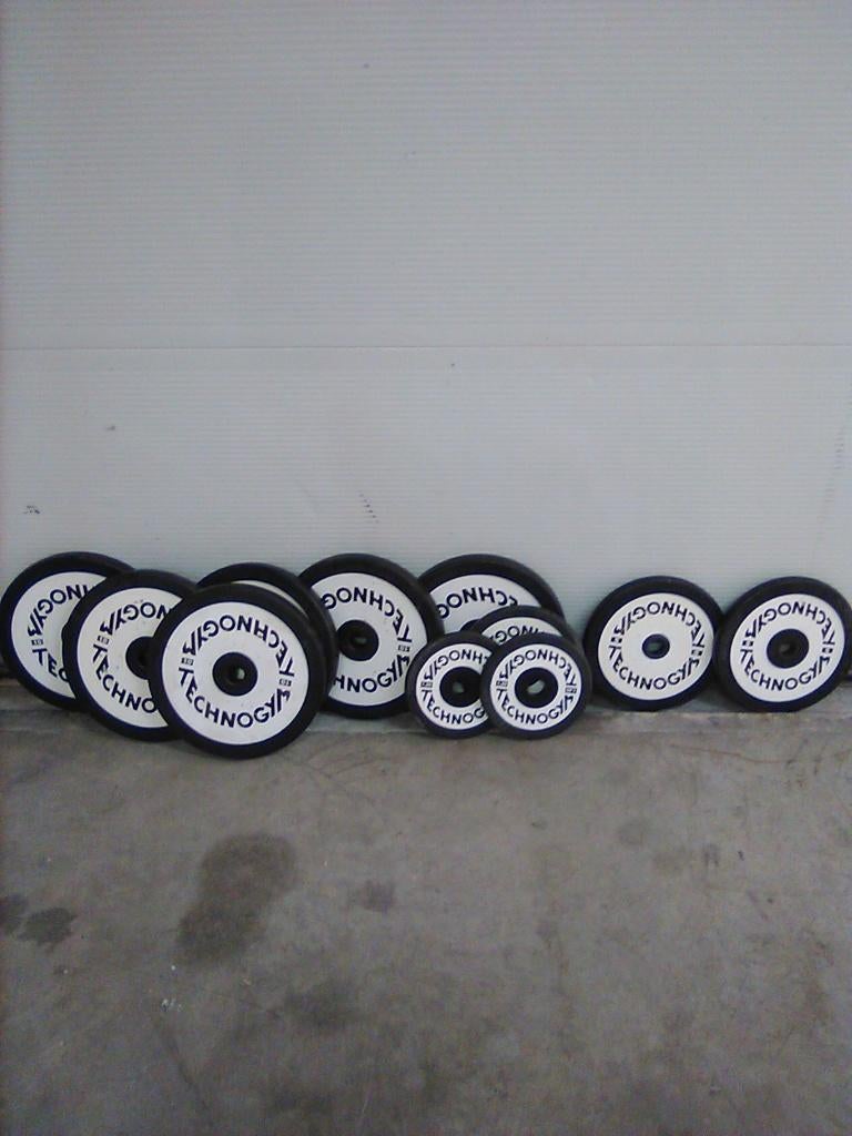 Technogym schijven totaal 75KG, Sport en Fitness, Fitnessmaterialen, Ophalen, Gebruikt, Benen