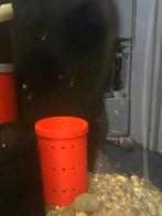 Neocaridina - vuurgarnaal & white pearl, Dieren en Toebehoren, Kreeft, Krab of Garnaal